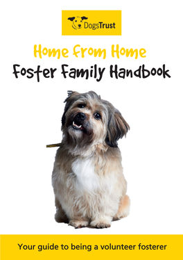 Foster Family Handbook