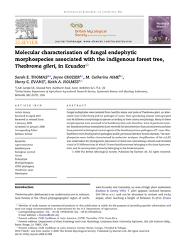 Molecular Characterisation of Fungal Endophytic Morphospecies Associated with the Indigenous Forest Tree, 5 Theobroma Gileri, in Ecuador