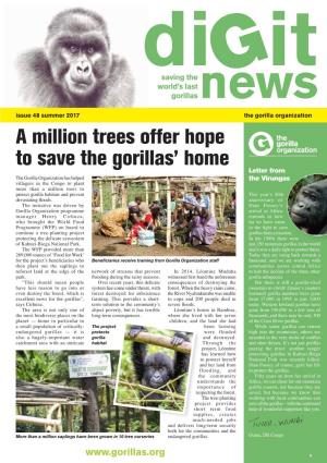 A Million Trees Offer Hope to Save the Gorillas' Home
