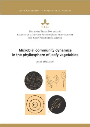 Microbial Community Dynamics in the Phyllosphere of Leafy Vegetables