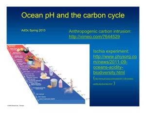 Ocean Ph and the Carbon Cycle