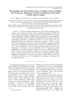 The Megalopa and Early Juvenile Stages of Calappa Tortugae Rathbun, 1933 (Crustacea, Brachyura) Reared in the Laboratory from South Carolina Neuston Samples