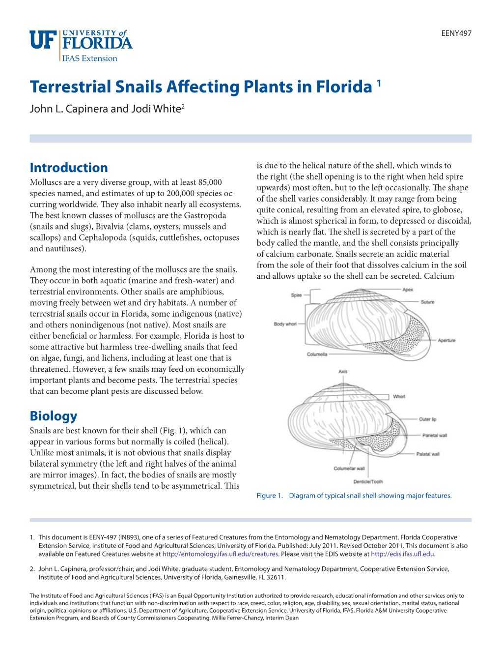 Terrestrial Snails Affecting Plants in Florida 1