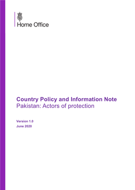 Pakistan Actors of Protection, June 2020