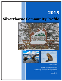 Silverthorne Community Profile