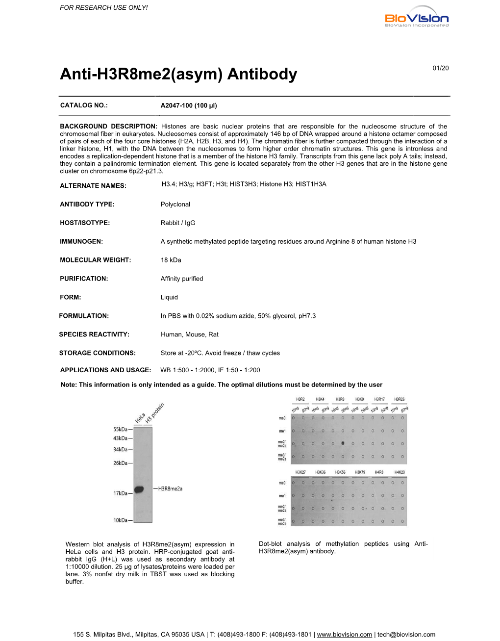 Anti-H3r8me2(Asym) Antibody