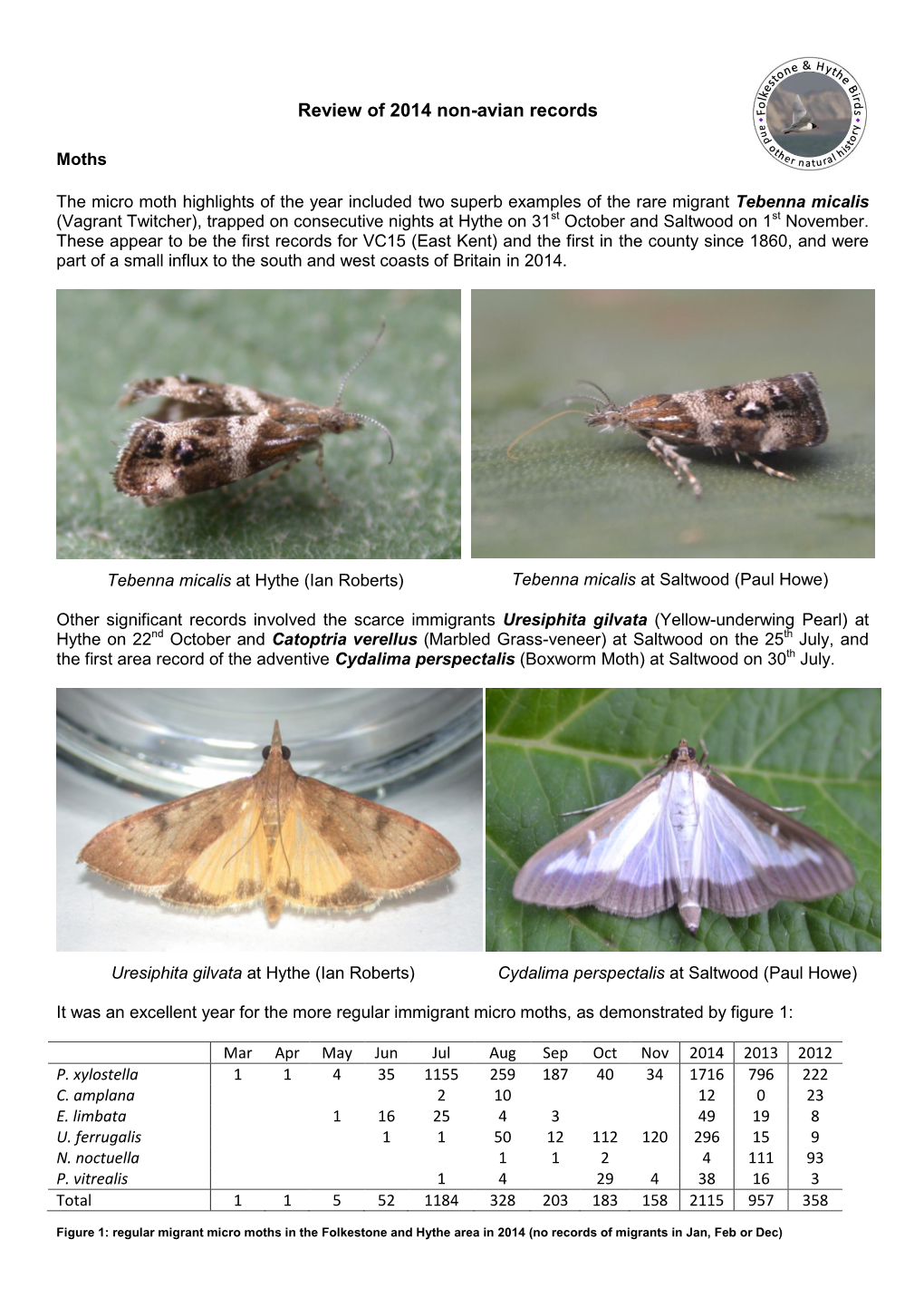 Moth Species Trapped Or Seen in 2004