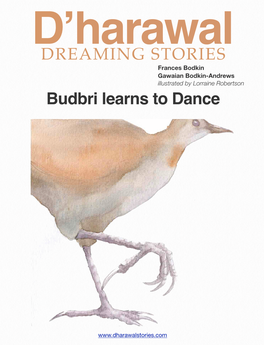 Budbri Learns to Dance DREAMING STORIES