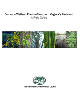 PEC's Guide to Common Wetland Plants of Northern Virginia's Piedmont