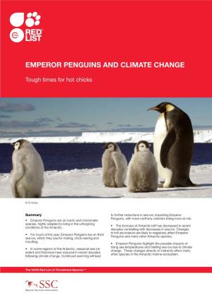 Emperor Penguins and CLIMATE CHANGE
