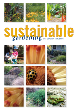 Sustainable Gardening in Stonnington