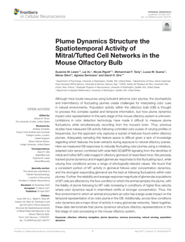 Plume Dynamics Structure the Spatiotemporal Activity of Mitral/Tufted Cell Networks in the Mouse Olfactory Bulb