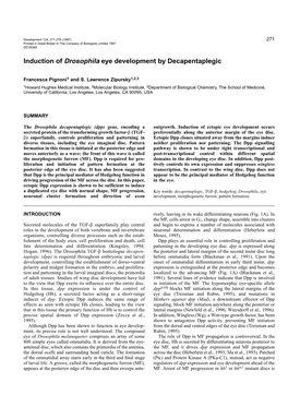 Induction of Drosophila Eye Development by Decapentaplegic