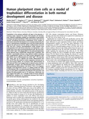 Human Pluripotent Stem Cells As a Model of Trophoblast Differentiation in Both Normal Development and Disease