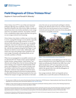 Field Diagnosis of Citrus Tristeza Virus1 Stephen H