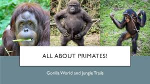 Gorilla World and Jungle Trails PRIMATE EVOLUTION