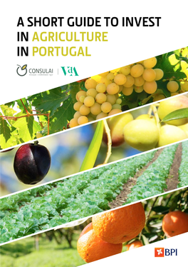 A Short Guide to Invest in Agriculture in Portugal