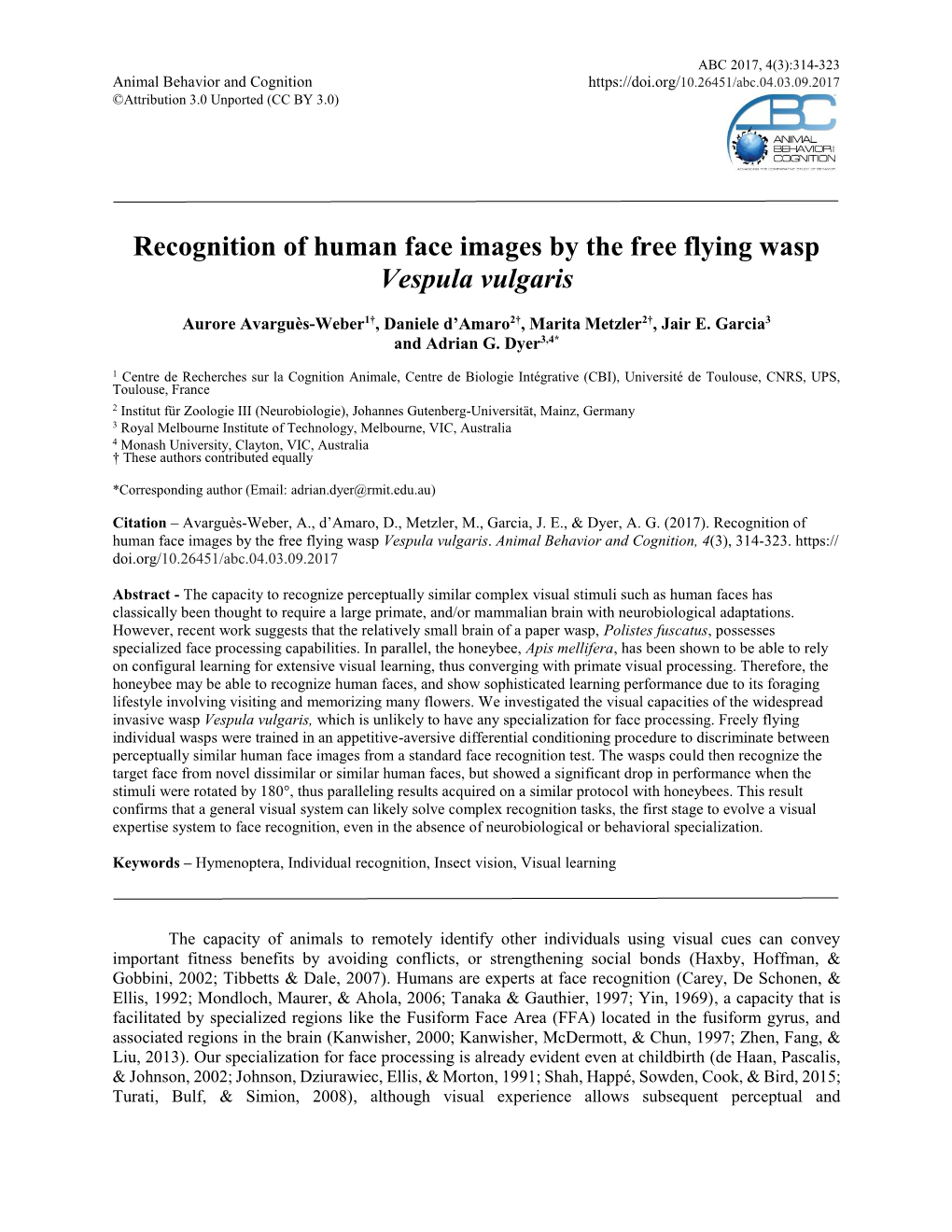 Recognition of Human Face Images by the Free Flying Wasp Vespula Vulgaris