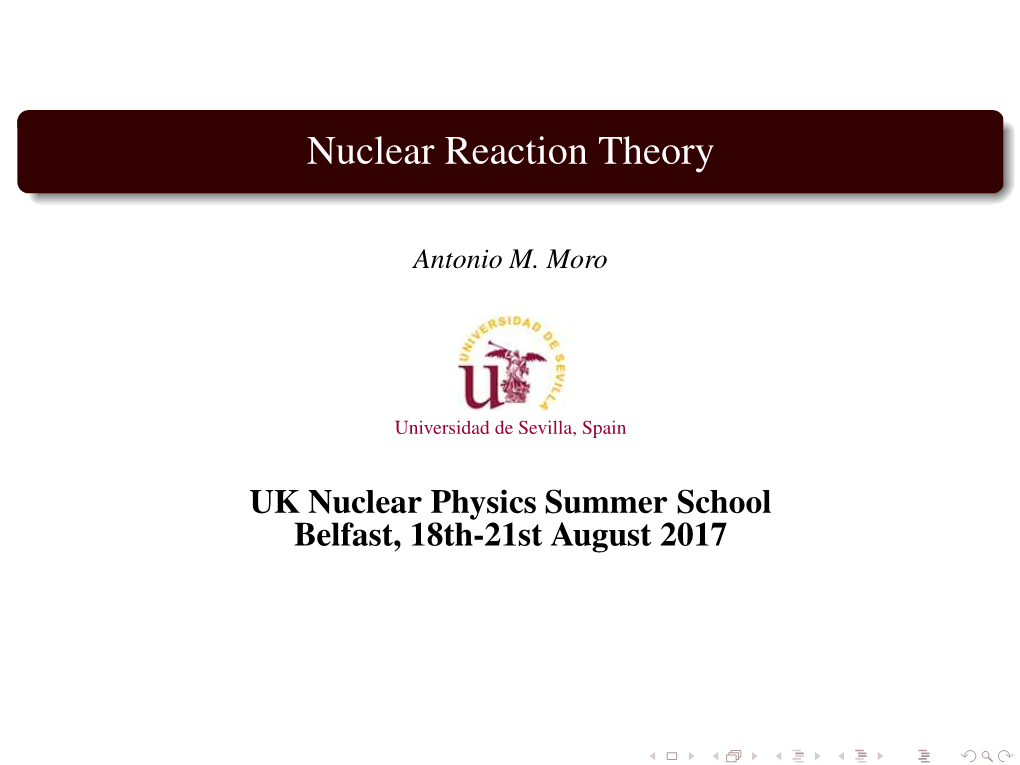 Nuclear Reaction Theory