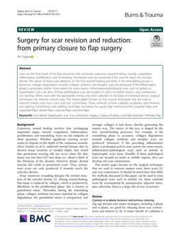 Surgery for Scar Revision and Reduction: from Primary Closure to Flap Surgery Rei Ogawa