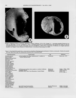 542 Journal of Paleontology, V. 66, No. 4, 1992 Figure 4