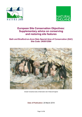 Bath and Bradford-On-Avon Bats Special Area of Conservation (SAC) Site Code: UK0012584