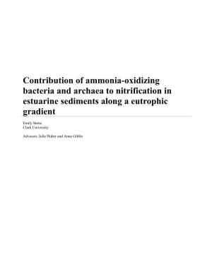 Contribution of Ammonia-Oxidizing Bacteria and Archaea to Nitrification in Estuarine Sediments Along a Eutrophic Gradient