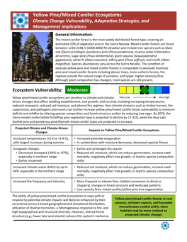 Yellow Pine/Mixed Conifer Ecosystems