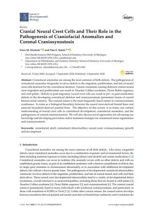 Cranial Neural Crest Cells and Their Role in the Pathogenesis of Craniofacial Anomalies and Coronal Craniosynostosis