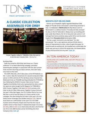 A CLASSIC COLLECTION ASSEMBLED for ORBY It’S Less Than a Week Until the Goffs Orby Yearling Sale in Ireland
