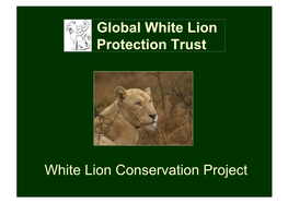 Global White Lion Protection Trust White Lion Conservation Project