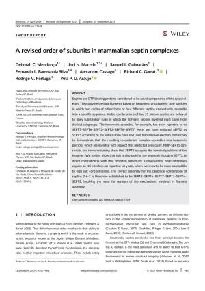 A Revised Order of Subunits in Mammalian Septin Complexes