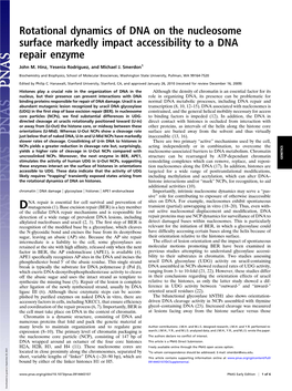 Rotational Dynamics of DNA on the Nucleosome Surface Markedly Impact Accessibility to a DNA Repair Enzyme