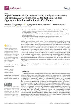 Rapid Detection of Mycoplasma Bovis, Staphylococcus Aureus and Streptococcus Agalactiae in Cattle Bulk Tank Milk in Cyprus and Relations with Somatic Cell Counts