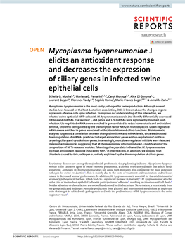 Mycoplasma Hyopneumoniae J Elicits an Antioxidant Response and Decreases the Expression of Ciliary Genes in Infected Swine Epithelial Cells Scheila G