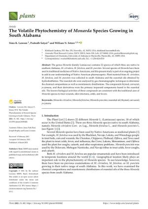 The Volatile Phytochemistry of Monarda Species Growing in South Alabama