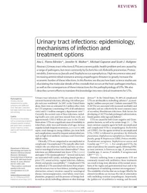 Urinary Tract Infections: Epidemiology, Mechanisms of Infection and Treatment Options
