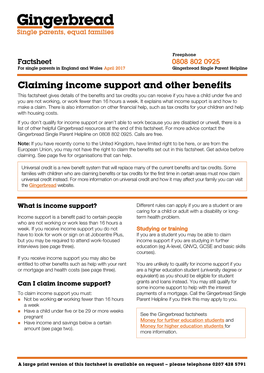 Claiming Income Support and Other Benefits