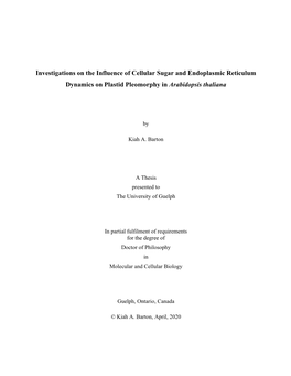 Investigations on the Influence of Cellular Sugar and Endoplasmic Reticulum Dynamics on Plastid Pleomorphy in Arabidopsis Thaliana