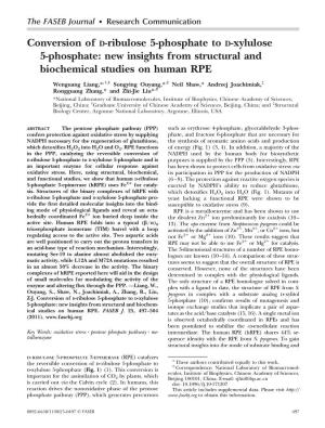 Conversion of D-Ribulose 5-Phosphate to D-Xylulose 5-Phosphate: New Insights from Structural and Biochemical Studies on Human RPE