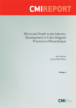 Micro and Small-Scale Industry Development in Cabo Delgado Province in Mozambique