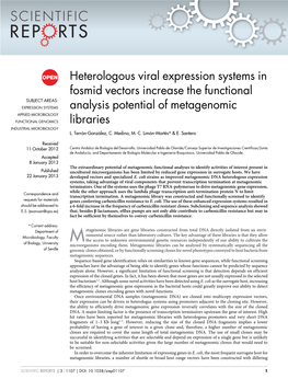 Heterologous Viral Expression Systems in Fosmid Vectors Increase