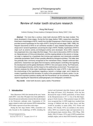 Review of Molar Tooth Structure Research