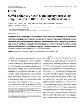 NUMB Enhances Notch Signaling by Repressing Ubiquitination of NOTCH1 Intracellular Domain