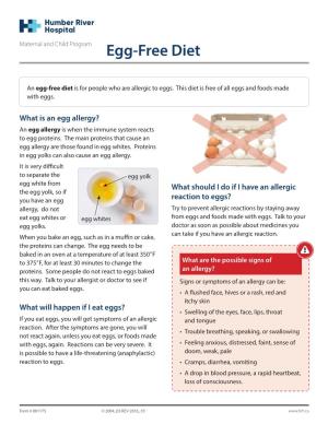 Egg-Free Diet