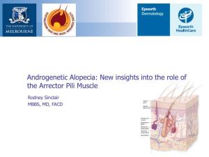 Androgenetic Alopecia: New Insights Into the Role of the Arrector Pili Muscle