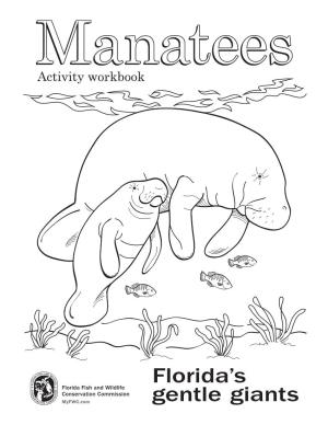 Manatees, Take a Few Minutes to Write Down What You Know About These Animals