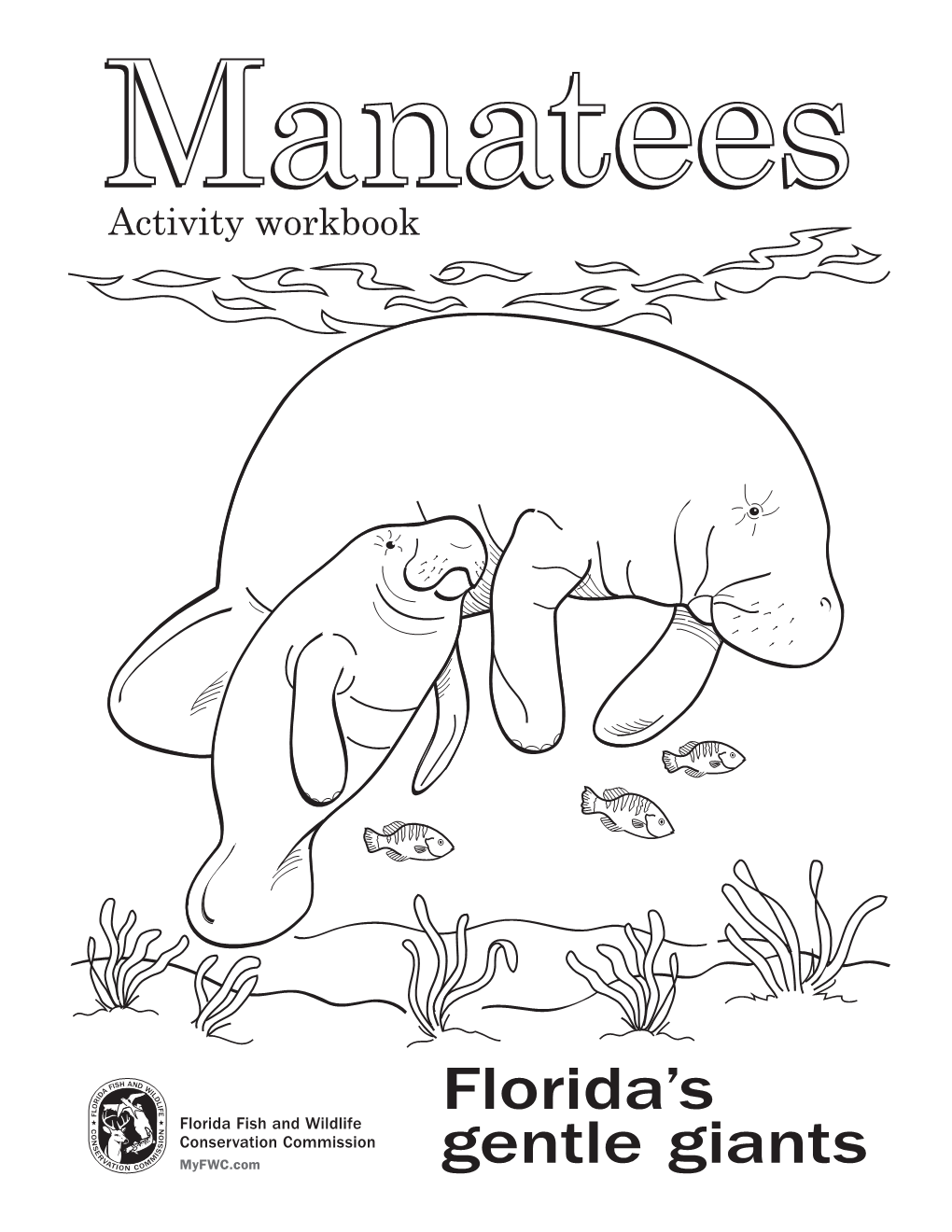 Manatees, Take a Few Minutes to Write Down What You Know About These Animals