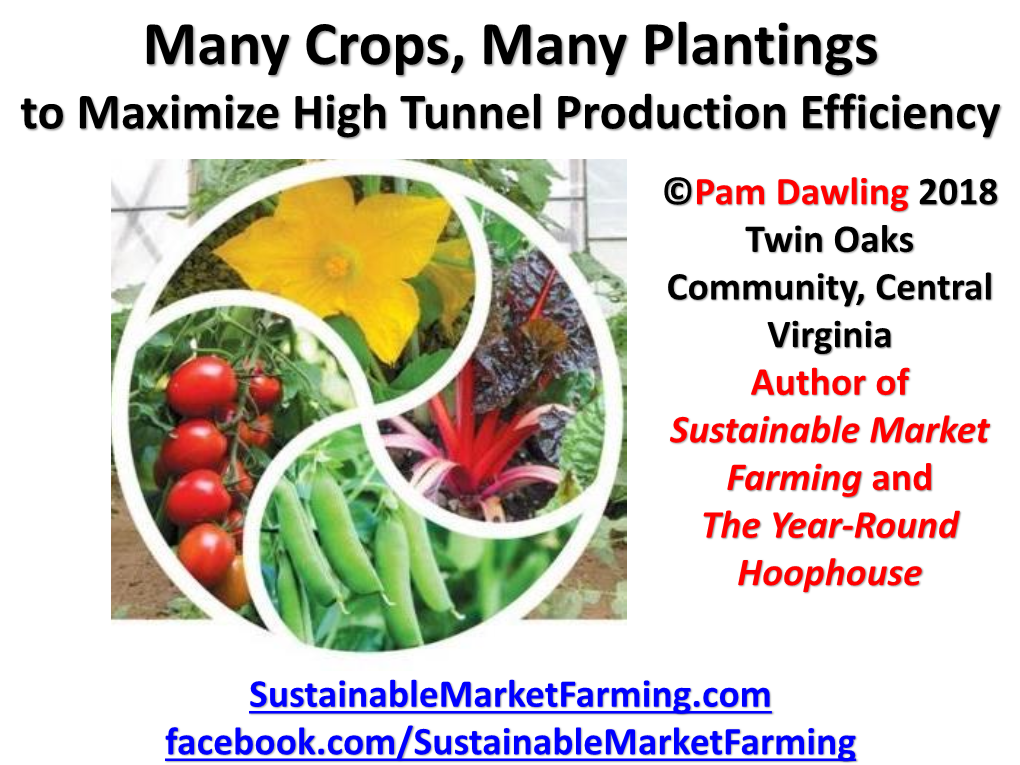 Sequential Planting of Cool Season Crops in a High Tunnel