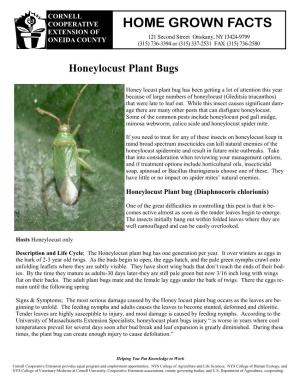 Honeylocust Plant Bug.Pub